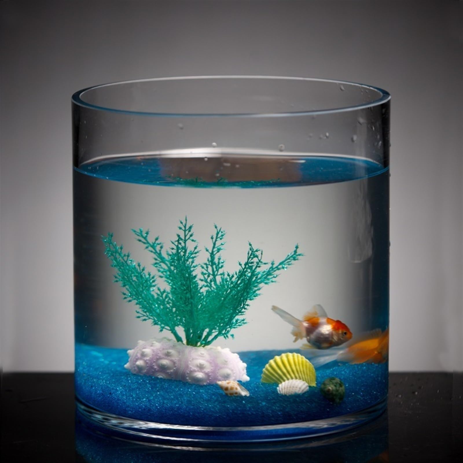 Aquarium Créatif Aquarium Cylindre Design Verre Transparent Maison Bureau Décoration Aquarium Fish Tank