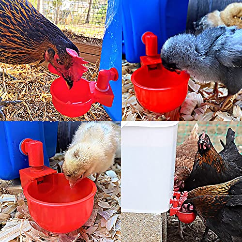 Chicken Waterer Cups-8 Pack Automatic Chicken Waterer for Poultry,Chicken Water Feeder,Chick Feeder for Chicks,Duck,Geese,Turkey and Bunny with Dill Bit (8)