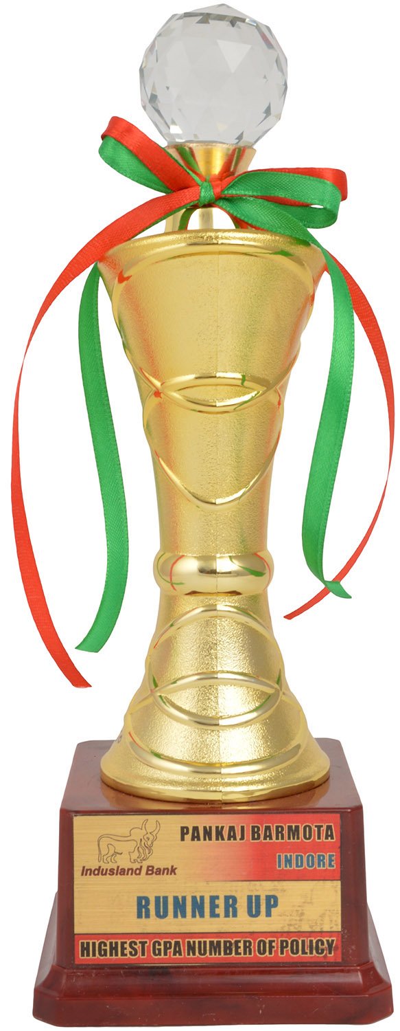 TROPHY JUNCTION Metallic Fiber Trophy (Gold, 11 Inch) (B01NBFPU68) Amazon Price History, Amazon Price Tracker