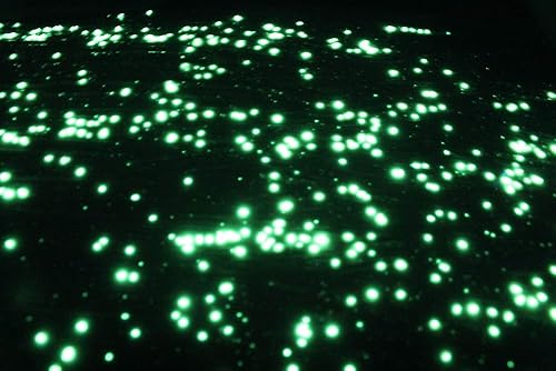 Miniatura 5 de StarMaker Extreme FX - Pintura reactiva UV invisible de cristal grande que brilla en la oscuridad (verde)