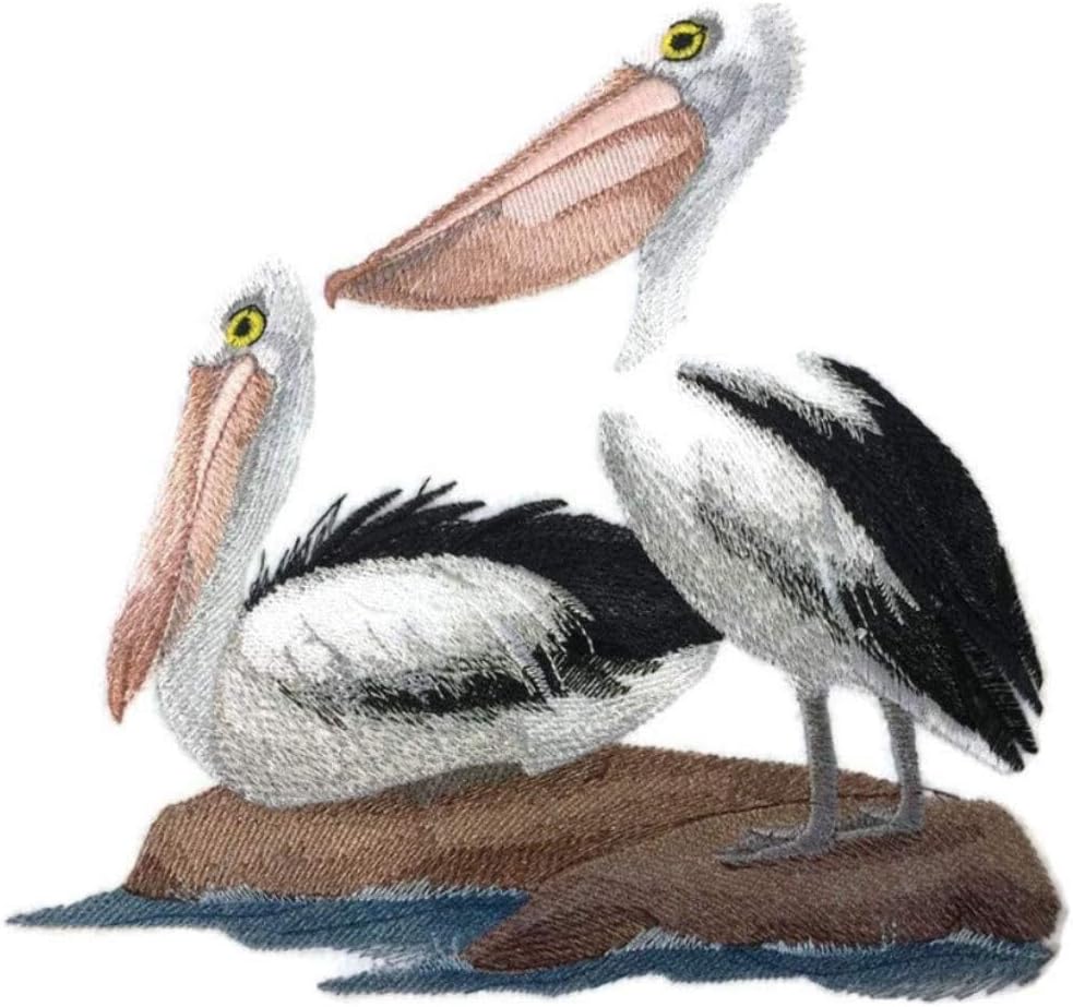 Nature weaved in threads, Amazing Birds Kingdom [Australian Pelicans ] [Custom and Unique] Embroidered Iron on/Sew patch [7" *6.5"] [Made in USA]