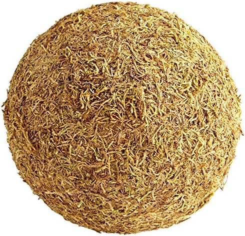 Cyan Design 07297 St. Augustine Filler, Large