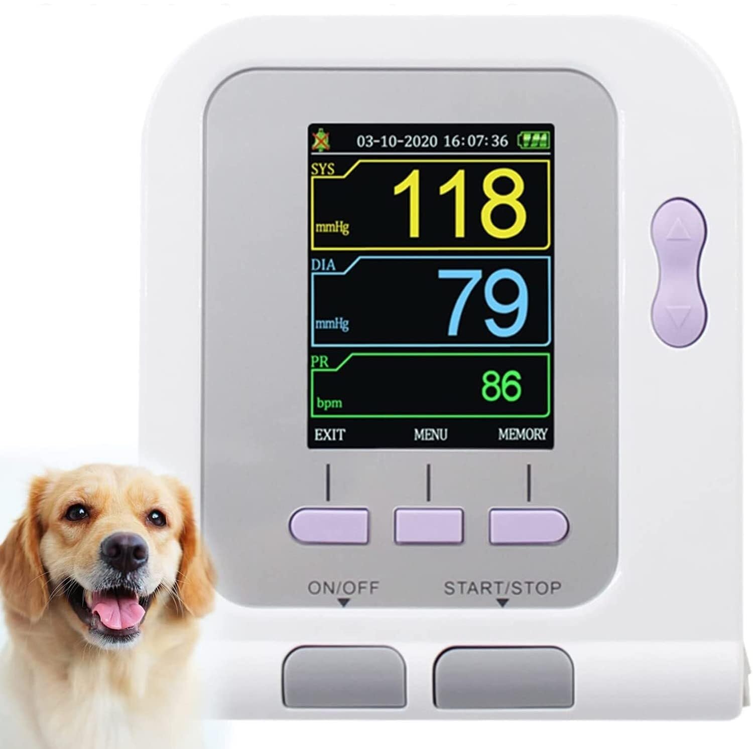 Misuratore di pressione arteriosa for uso veterinario for animali, misuratore di pressione sanguigna veterinario con display LCD, macchina automatica for BP for uso animale con bracciale