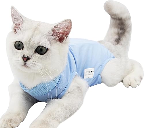 Traje de recuperación para gatos para heridas abdominales, enfermedades de la piel, mameluco de gato para gatos después de la cirugía, traje de