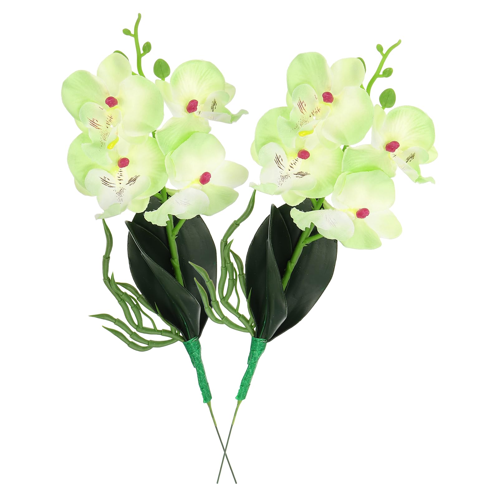 Phalaenopsis artificielles au toucher réaliste décoration haut de gamme