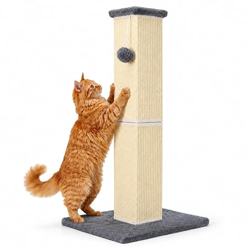 32" Tall Cat Scratching Post for Large Indoor Cats &