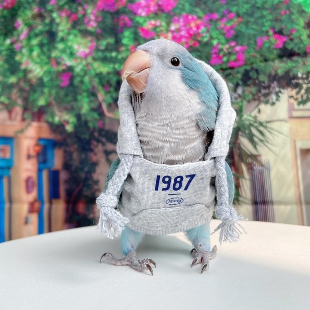 Bird Costume Bird Diaper Flight Suit Hoodie with Hat Bird Clothes Cosplay Photo Prop for Parrots Parakeet Cockatiel Sun Conure, Bird Hoodie Small Animals Apparel (with Diaper,L)