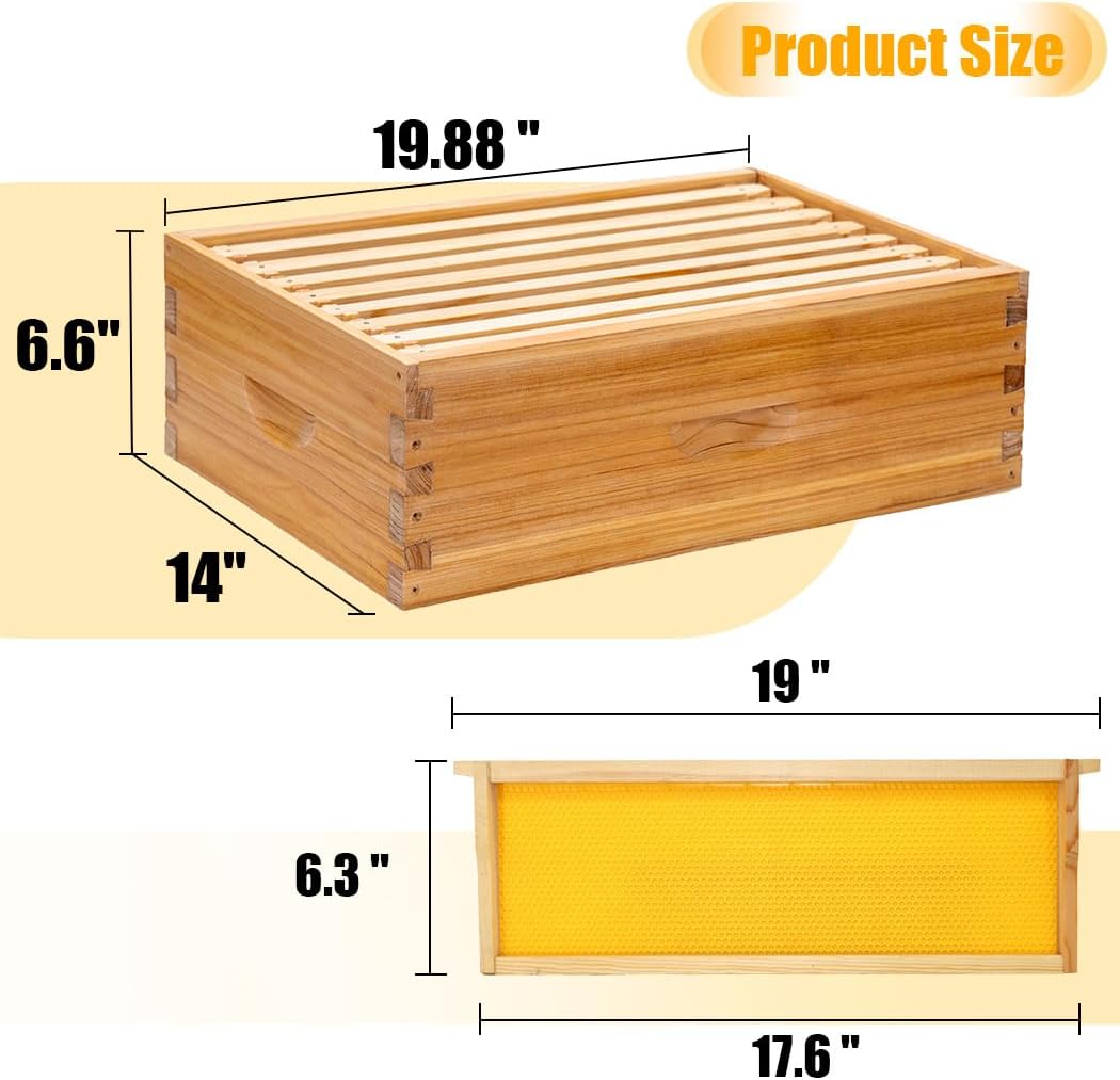 Honey Lake 8-Frame Beehive Complete Bee Hive Boxes Starter Kit Dipped in Beeswax Includes Beehive Frames and Waxed Foundations Sheets (1 Deep Brood Bee Box & 1 Medium Super Box) - Image 4