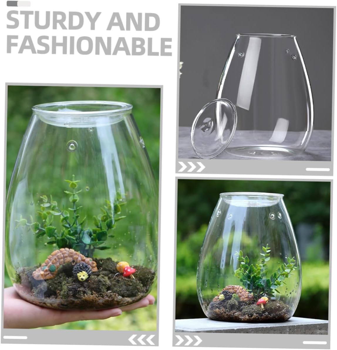 BESPORTBLE Decorative Glass Terrarium Container for Landscaping Hydroponic Vase Glass Bottle for Indoor and Outdoor Home Decor Landscape Bottle