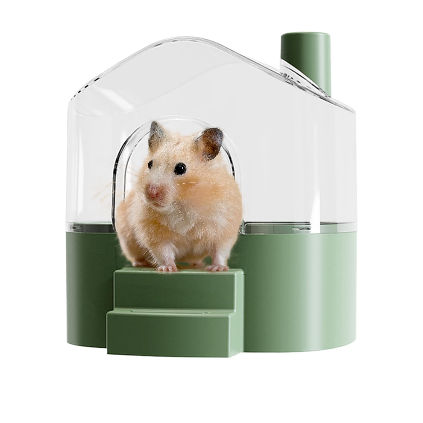 Bac à sable pour hamster grand modèle pour observer son rongeur creuser