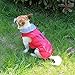 JoyDaog Hundemäntel mit Fleecekragen für kleine Hunde, wasserdichte, warme Welpenjacke aus Baumwolle für den kalten Winter, Rot XS