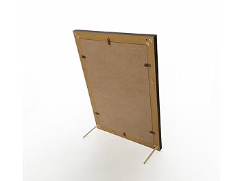 Amazon | 大仙 額縁 OA額 バイカラーフレーム B4 モカ/ブラウン