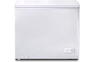 10 Cu ft Freezer: Compact and Efficient for Home and Commercial Use