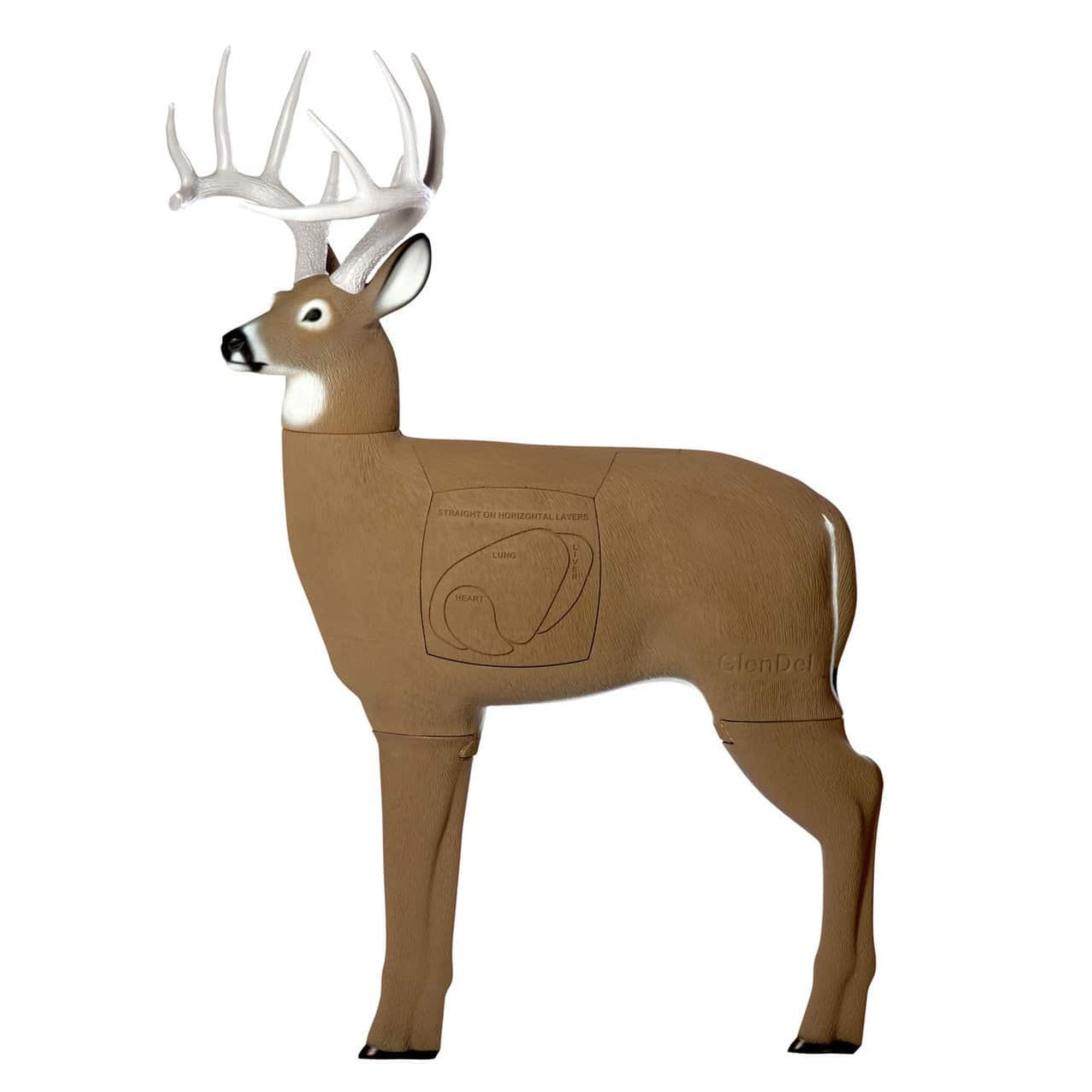 GLENDEL Buck 3D Archery Target, Stops All Broadheads and Field Tips, Replaceable 4-Sided PolyFusion Core, Mimics the Proportions of Whitetail Deer with 150” B&amp;C Antlers