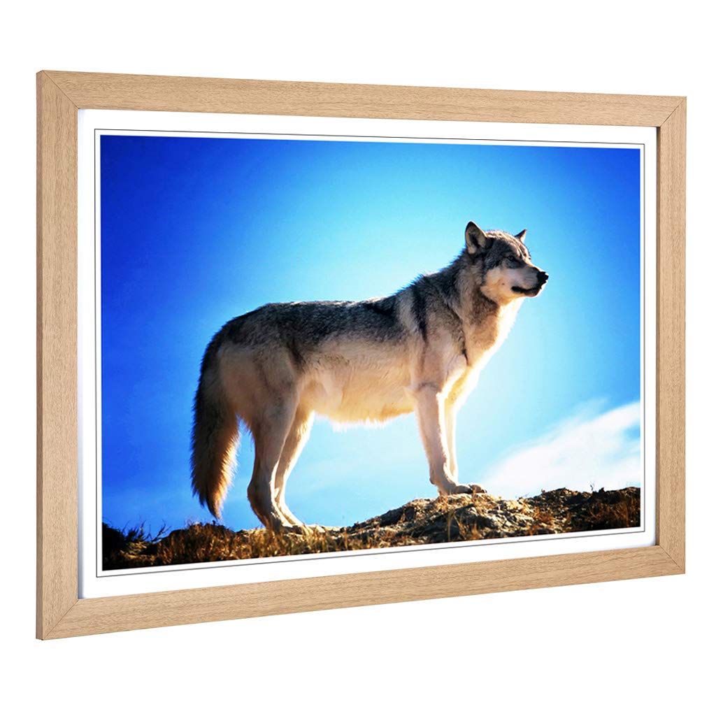 Big Box Art Framed Print of Wolf Design | Wall Art Picture | Home Decor for Kitchen, Living, Dining Room, Lounge, Bedroom, Hallway, Office, Oak, A2 / 24.5x18 Inch / 62x45cm