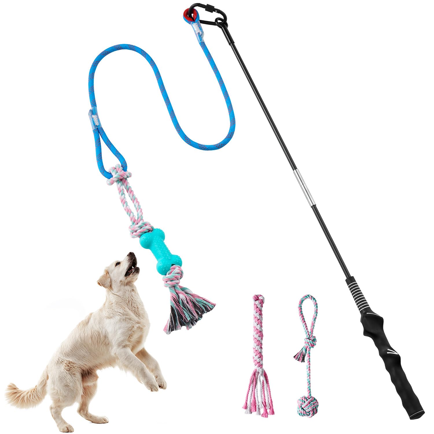 Flirt Pole pour chiens de toutes tailles : jouet d'enrichissement interactif