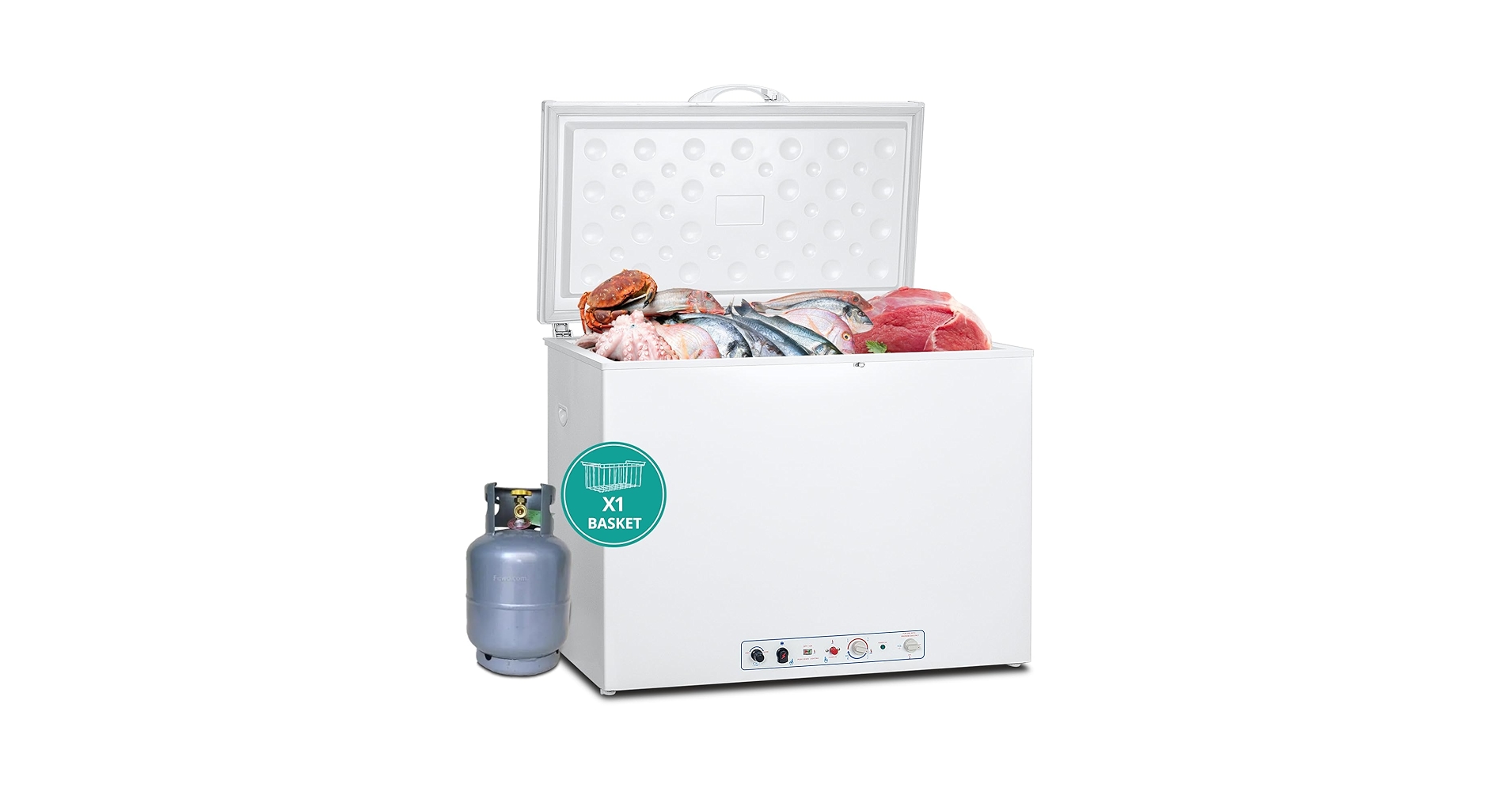 Amazon.com: SMETA Propane Freezer Gas/Electric 110v Propane