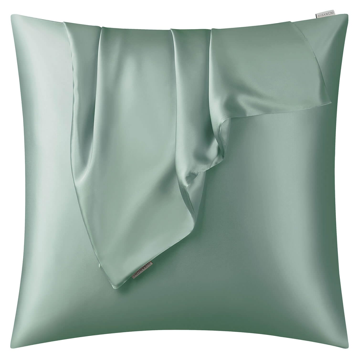 DISANGNI 100% Natural Mulberry Silk Pillow case for Hair and Skin with Hidden Zipper 22 Momme Both Sides Real Silk Pillow Case (1pc 50x60cm, Light Green)