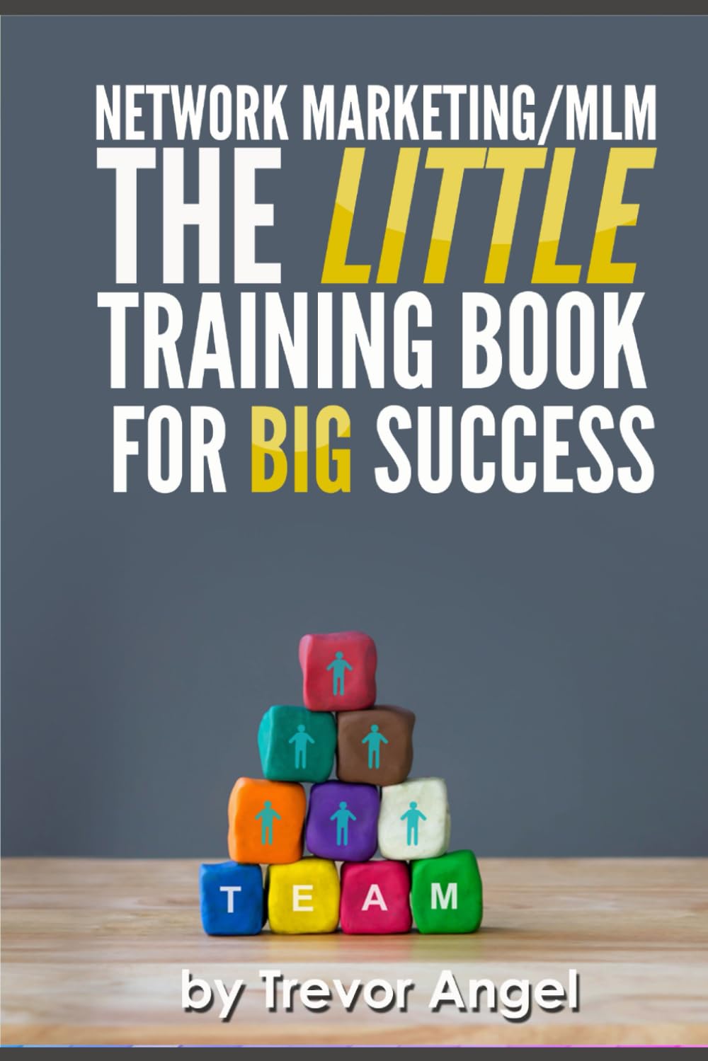 Network Marketing/MLM The LITTLE Training Book For BIG Success (All About Making Money)