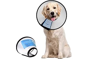 Pet Protective Collar for Speedy Recovery