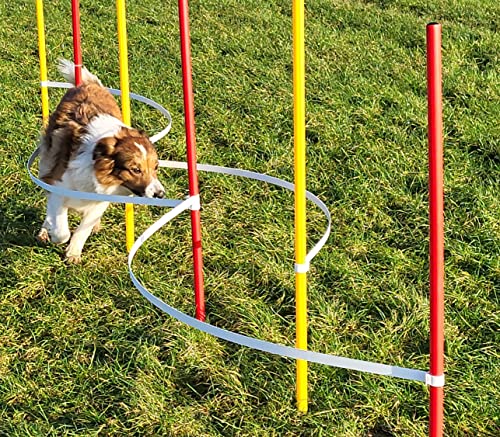 Wuzzmann Agility - Slalom - AUSBILDUNGSSET MIT 4 SLALOMBÖGEN/TRAININGSBÖGEN + 6 SLALOMSTANGEN ROT/GELB