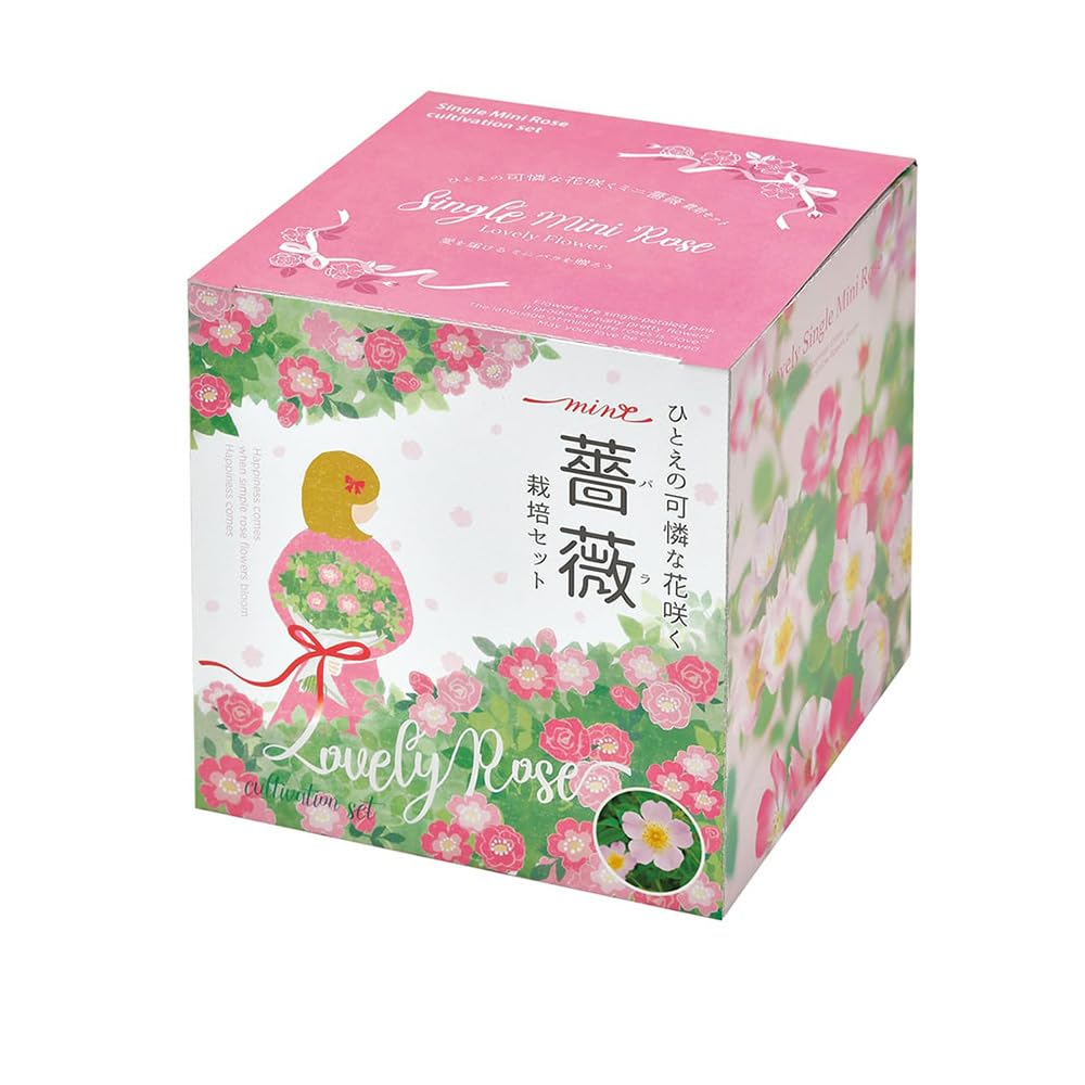 Amazon｜ITANSE 栽培セット ひとえの可憐な花咲くミニバラ 1個