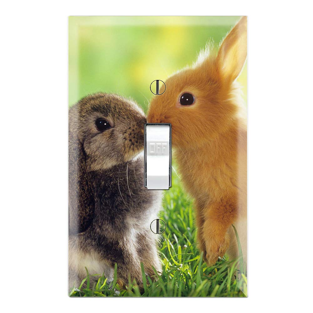 Interrupteur Prise De Courant Terre Encastrable ; Interrupteur électrique