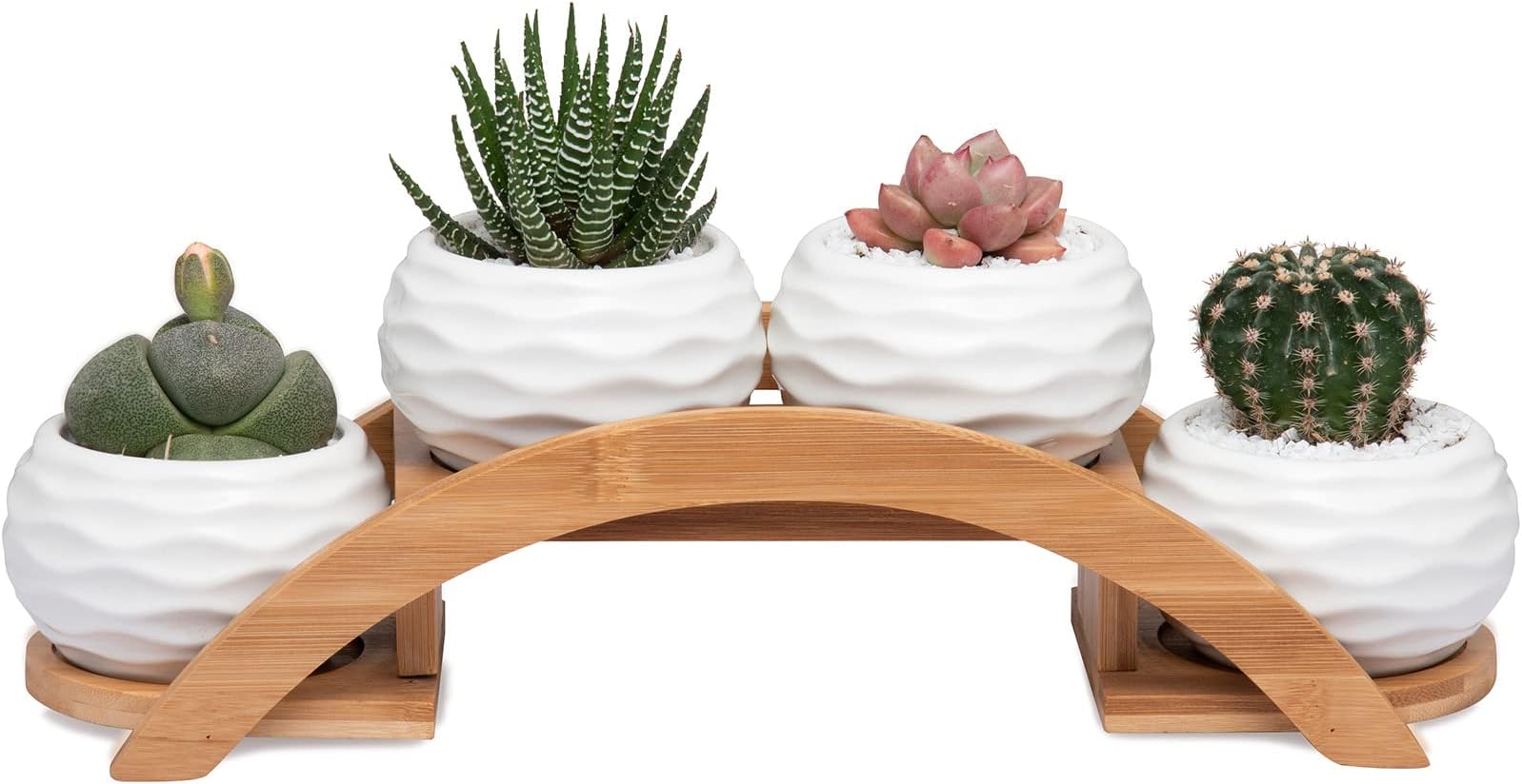 E-liu Succulent Pots and Stand Set, Ceramic White Succulent Planter Pot with Drainage, Pack of 4, Cute Office Garden Indoor Decoration, Plants Not Included