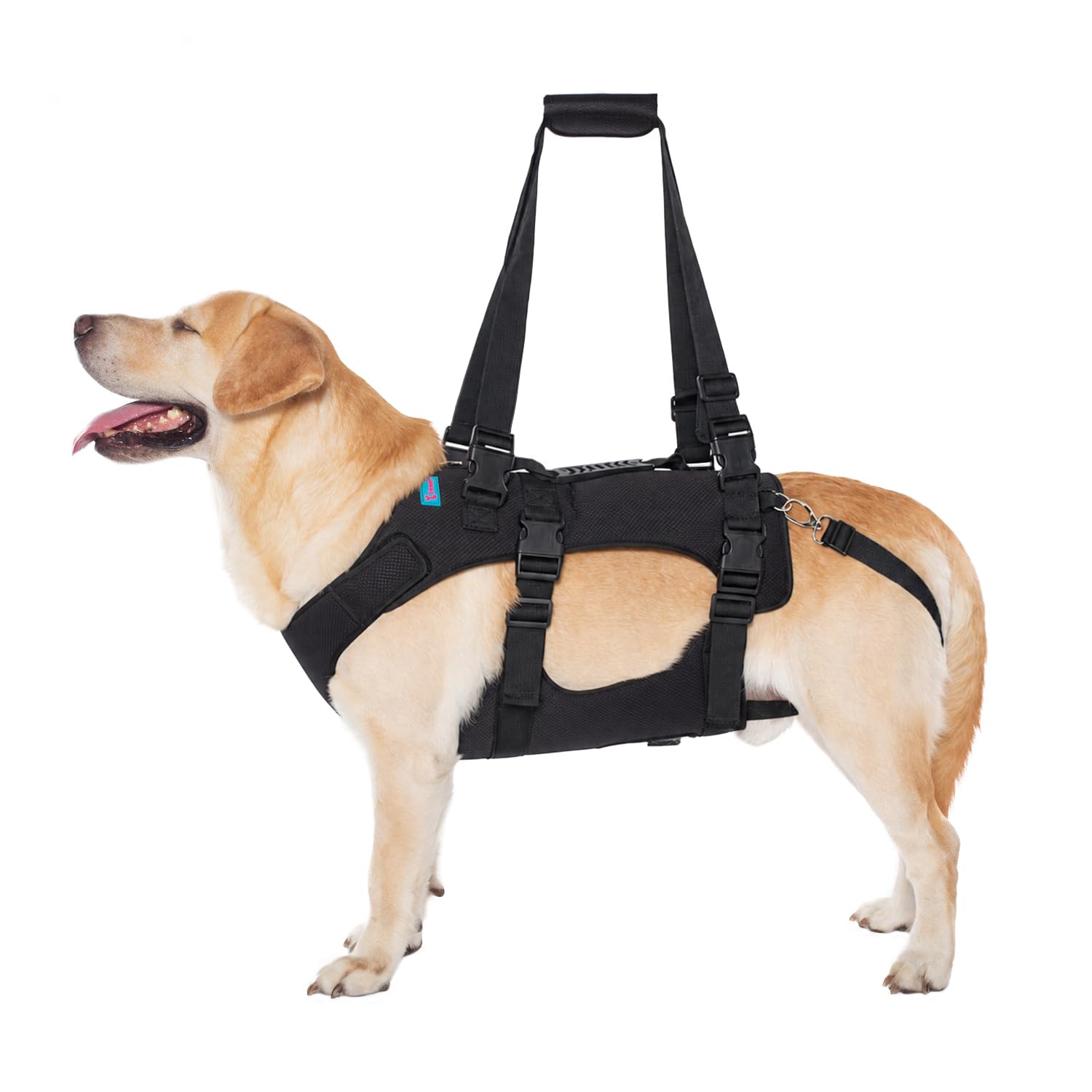 Arnés de elevación para perros (S, negro)