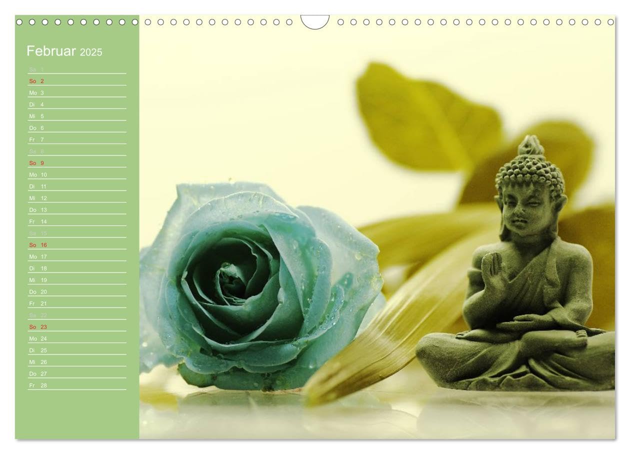 Rosen Blüten Terminkalender (Wandkalender 2025 DIN A3 quer), CALVENDO Monatskalender: Ein Terminkalender in dem die Schönheit und die Vielfältigkeit der Rosen zu sehen ist (CALVENDO Natur)