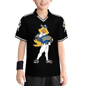 福岡ソフトバンクホークス Tシャツ ハリーホーク ハリークール L レア Amazon.co.jp: [アケトリ] 福岡ソフトバンクホークス マスコット