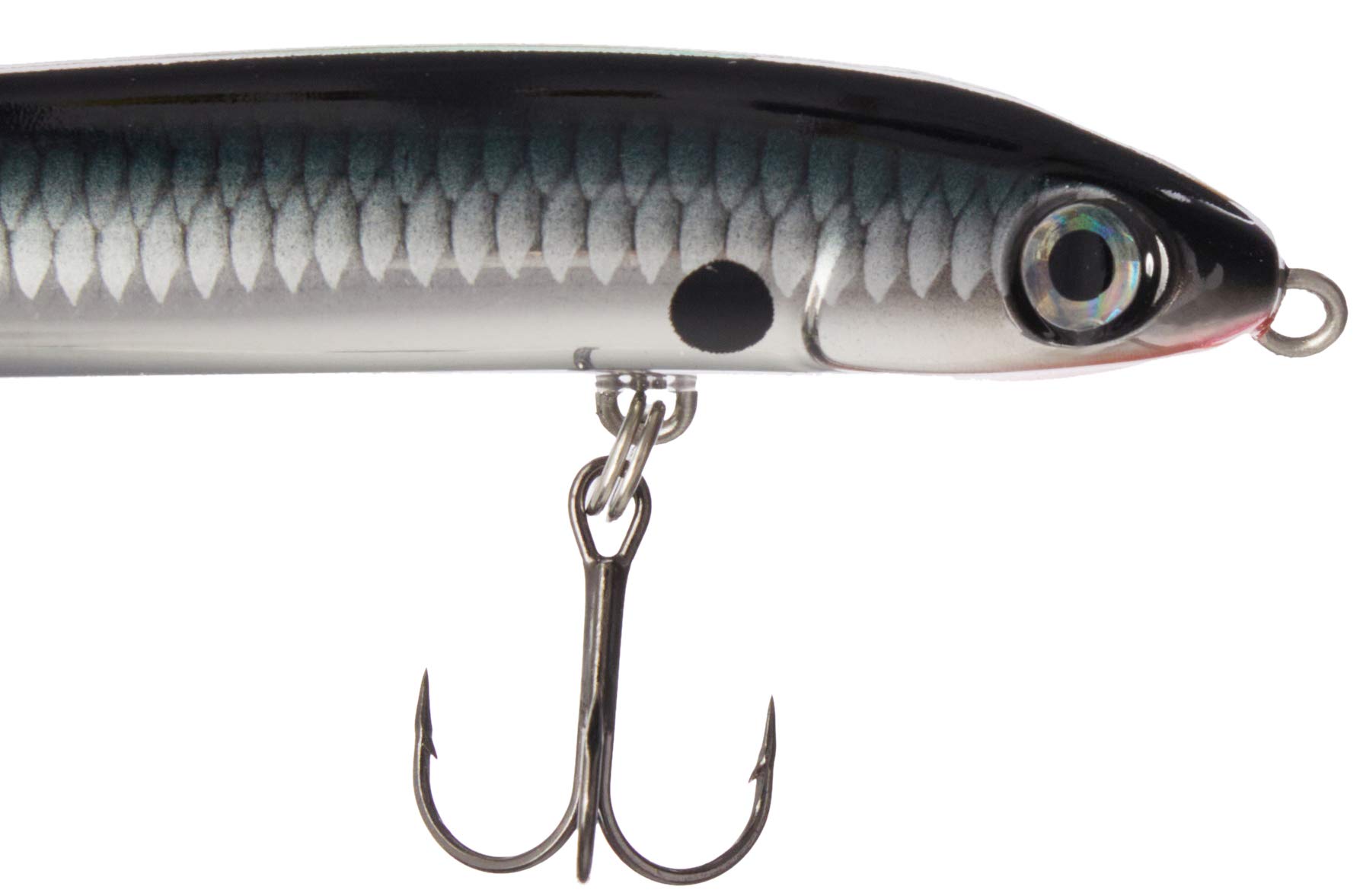 Amazon.co.jp: Rapala(ラパラ) ペンシルベイト スキッターV 10cm