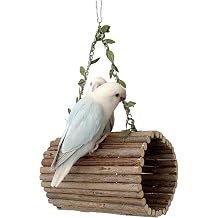 Bird Perches Hanging Wooden Swing for