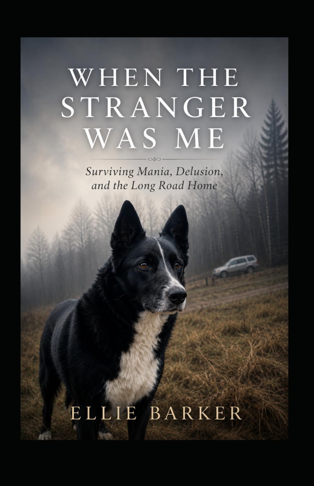 When the Stranger Was Me: Surviving Mania, Delusion, and the Long Road Home
