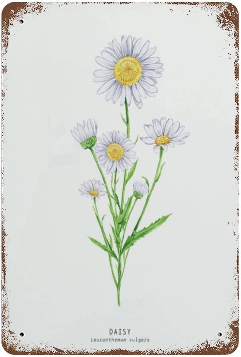 rayprint Vintage Metal Sign Daisy Botanical Tin Poster Valentine's Day Sign Funny Tin Signs Novelty Kitchen Bar Club Garage Garden Home Wall Art Decor 8x12inch