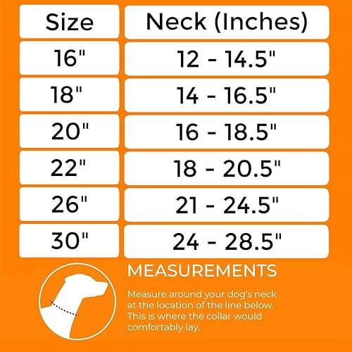 Miniatura 2 de Mighty Paw Collar deslizante de cadena de metal de pistola, collar de perro de cincha, collar de metal de cadena de estrangulamiento