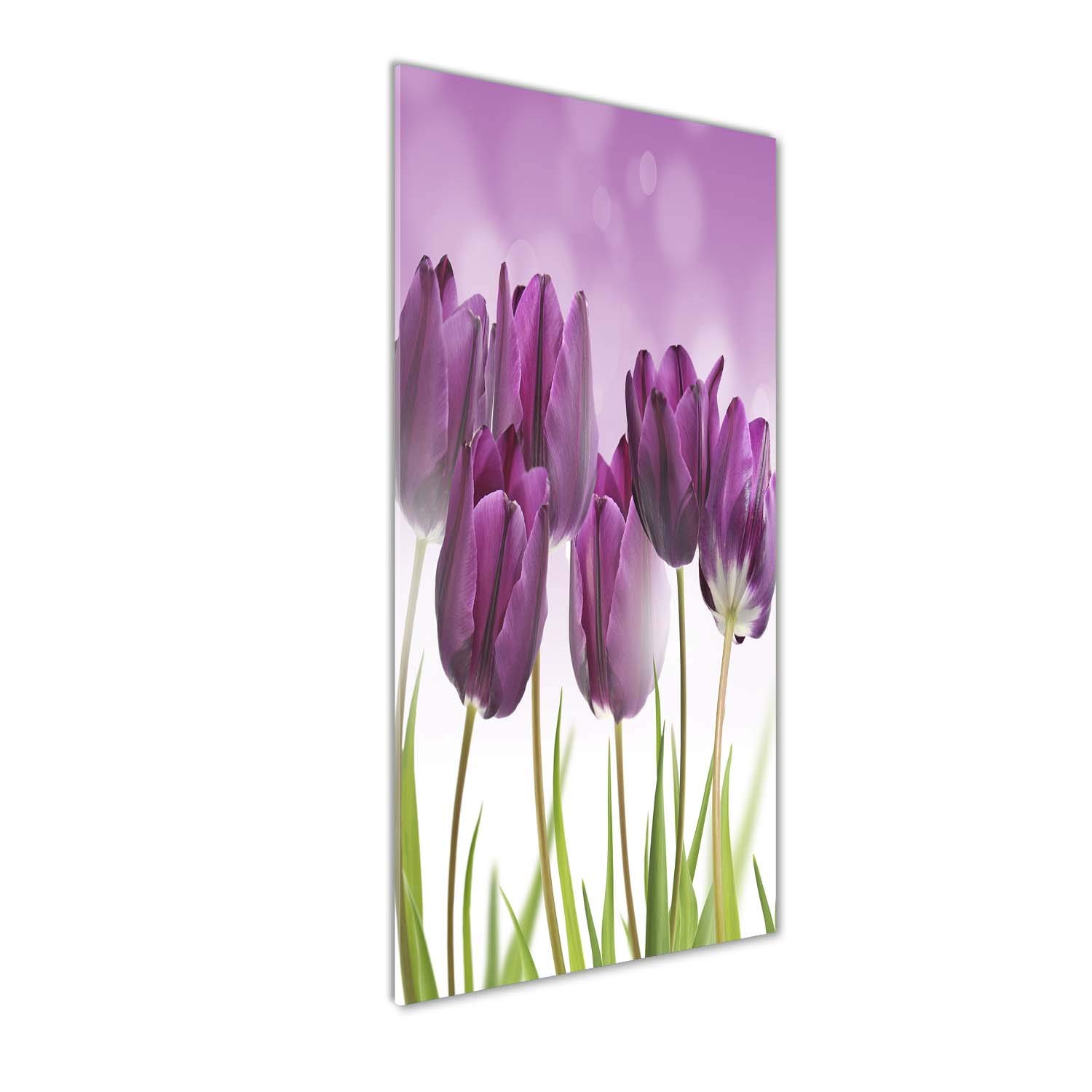 Peinture sur verre trempé Tulup 50x125cm tulipes pourpres