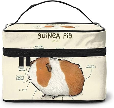 Amazon Co Jp かわいいモルモット柄 化粧ポーチ メイクケース トイレタリーバッグ トラベルポーチ 大容量 軽い コンパクト 多機能 雑貨 小物 収納 バッグインバッグ 女性 出張 海外 旅行グッズ 育児グッズ シューズ バッグ