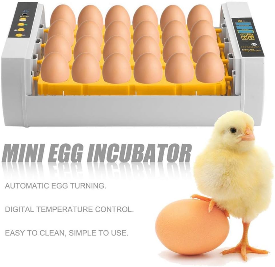 mm55cooo様‼️専用松茸350g 松茸 業務用」の人気商品一覧 | 安い商品を