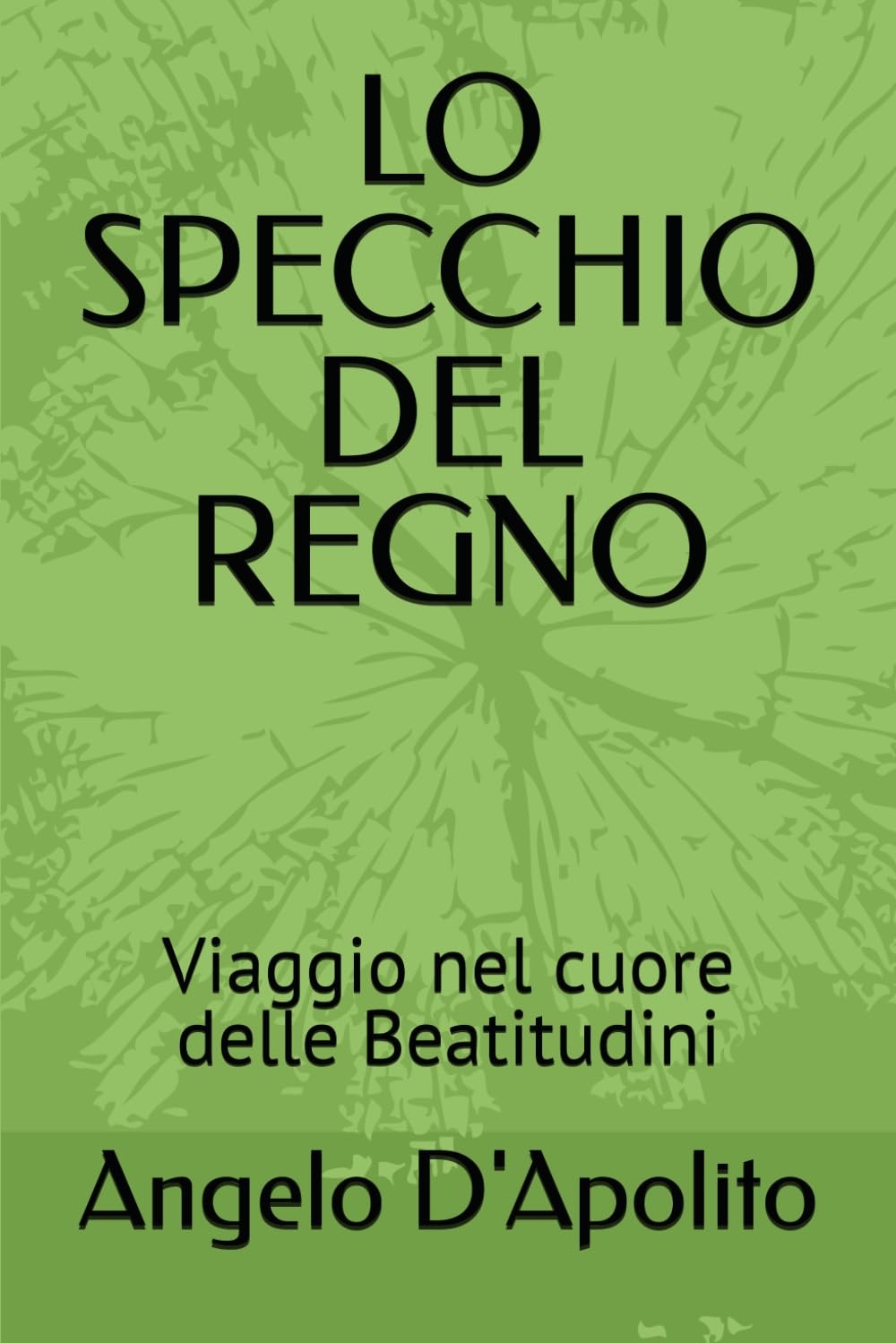 LO SPECCHIO DEL REGNO: Viaggio nel cuore delle Beatitudini