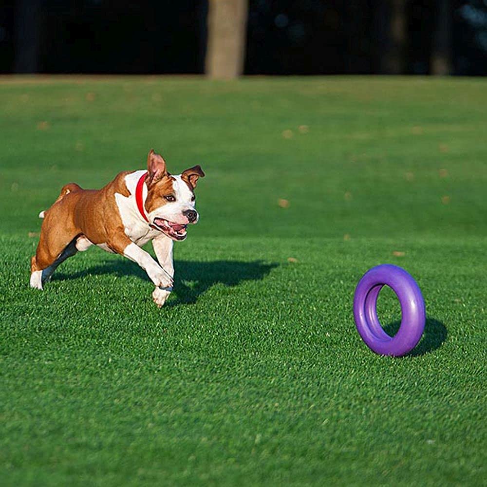 Gioco Per Cane Anello Dispenser Ferplast - Per Crocchette, Igiene Dentale - Taglia Media, Rosso