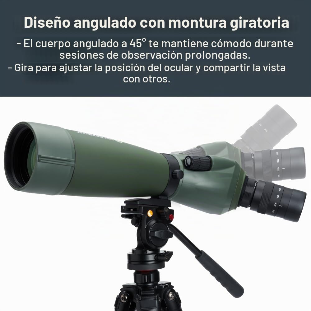 Celestron 52305 Regal M2: telescopio terrestre con zoom angular ED de 20-60x80 mm, con óptica multicapa, prismas de cristal BaK-4, cuerpo ligero de aleación de magnesio y funda de transporte acolchada