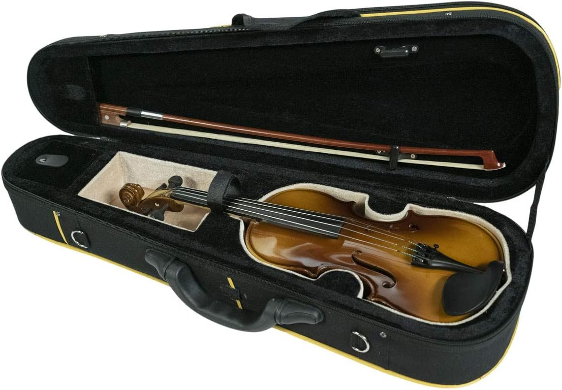 Stradivarius violin' revealed 68 years after being brought from Germany by  a Soviet soldier