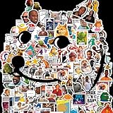 337PCS Funny Meme Stickers Pack, Waterproof Funny Stickers, Vinyl Sarcastic Meme Decals for Laptop, Water Bottle, Phone, Kindle, Journal, Scrapbook, Bumper, Skateboard, Luggage, No Repeats