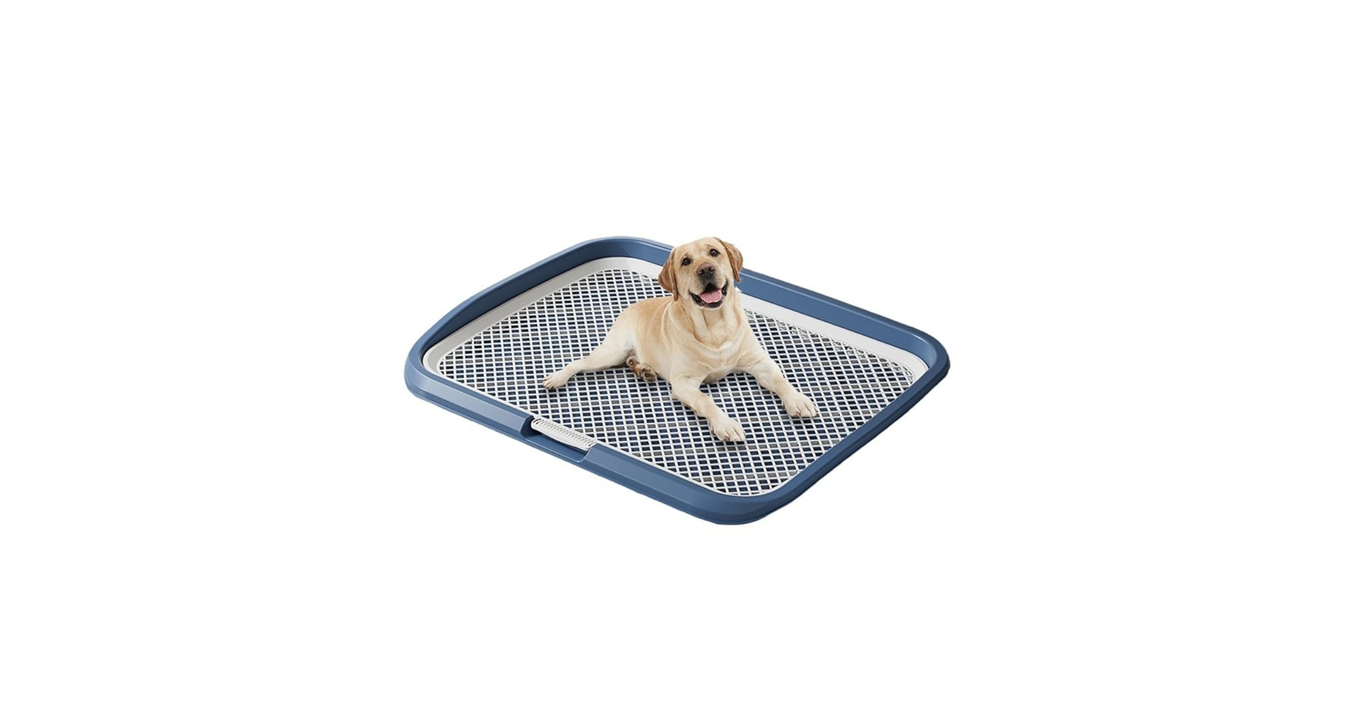 61KCWAWlFSL.jpg_BO30,255,255,