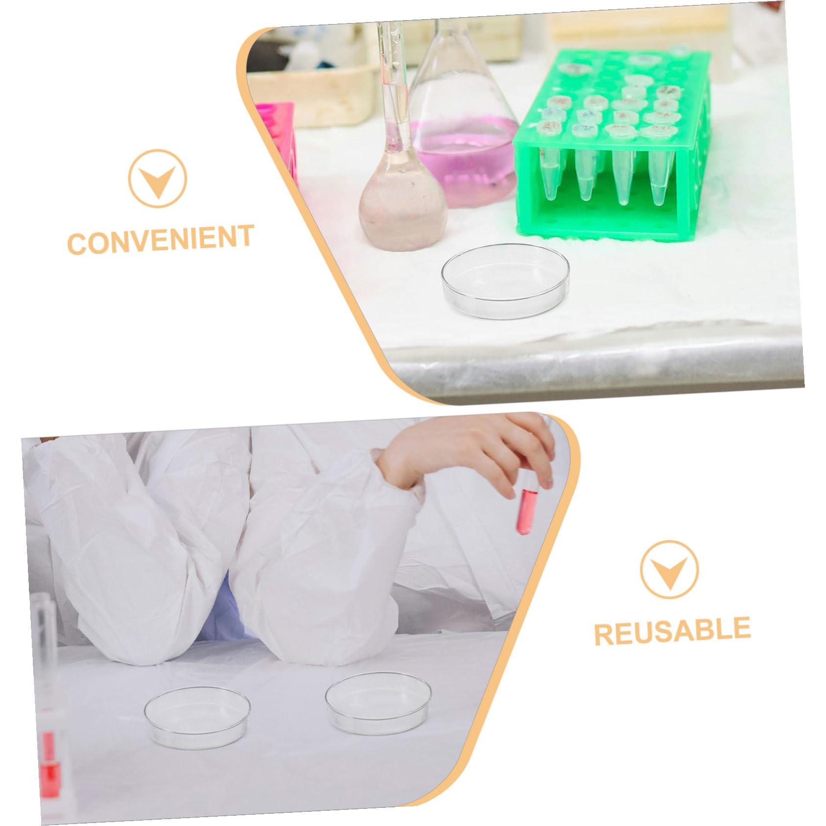 Mobestech 5 Pezzi Piatti Petri in Vetro Borosilicato con Coperchi Trasparenti Resistente al Calore e Autoclavabile Contenitori per Colture Cellulari e Tessuti Vegetali in Laboratorio