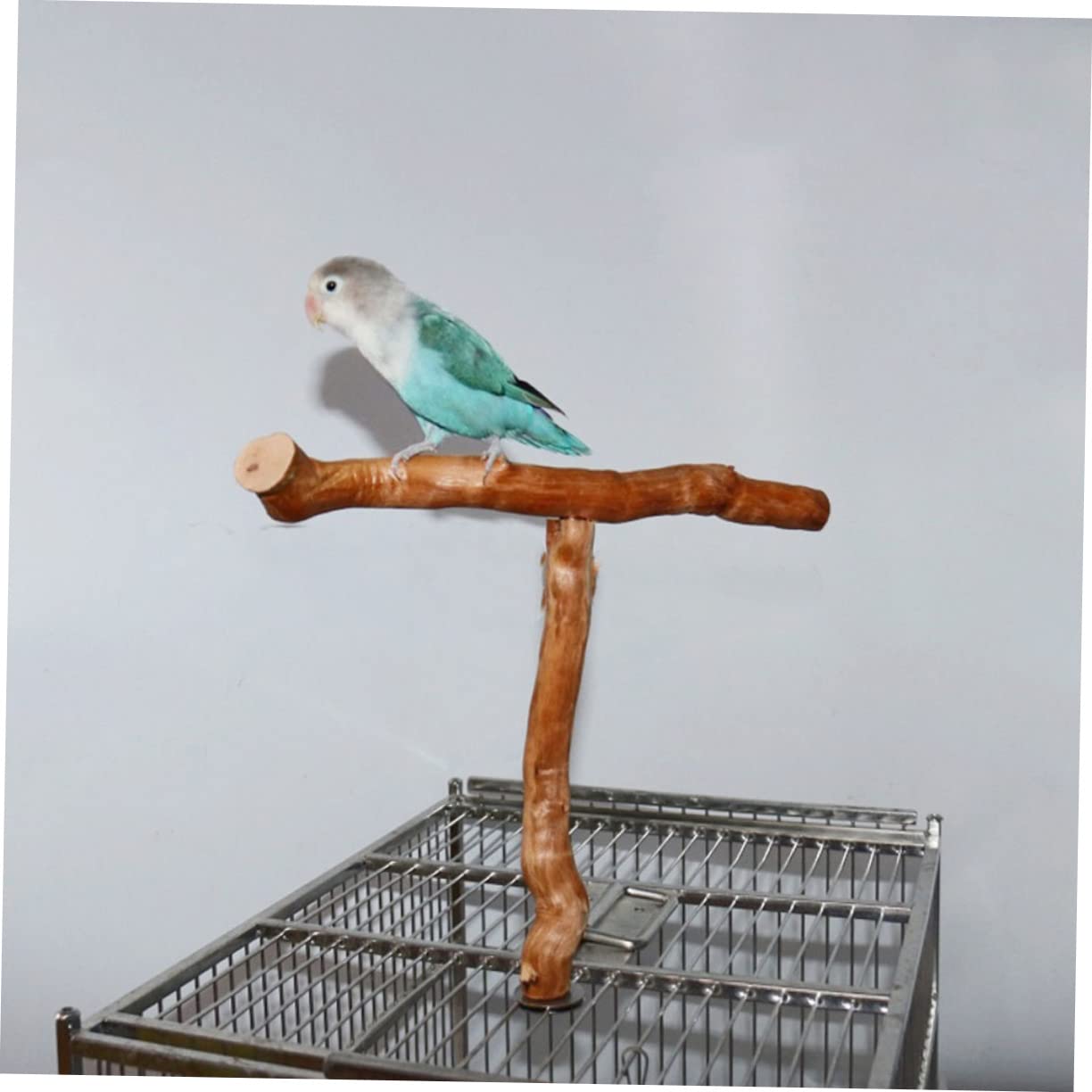 BESPORTBLE 3pezzi Trespolo t per Pappagalli e Cockatiel Gioco Resistente all Usura Accessorio per Uccelli da Masticare per Gabbie Sostegno Naturale e Sicuro per Tuo Volatile