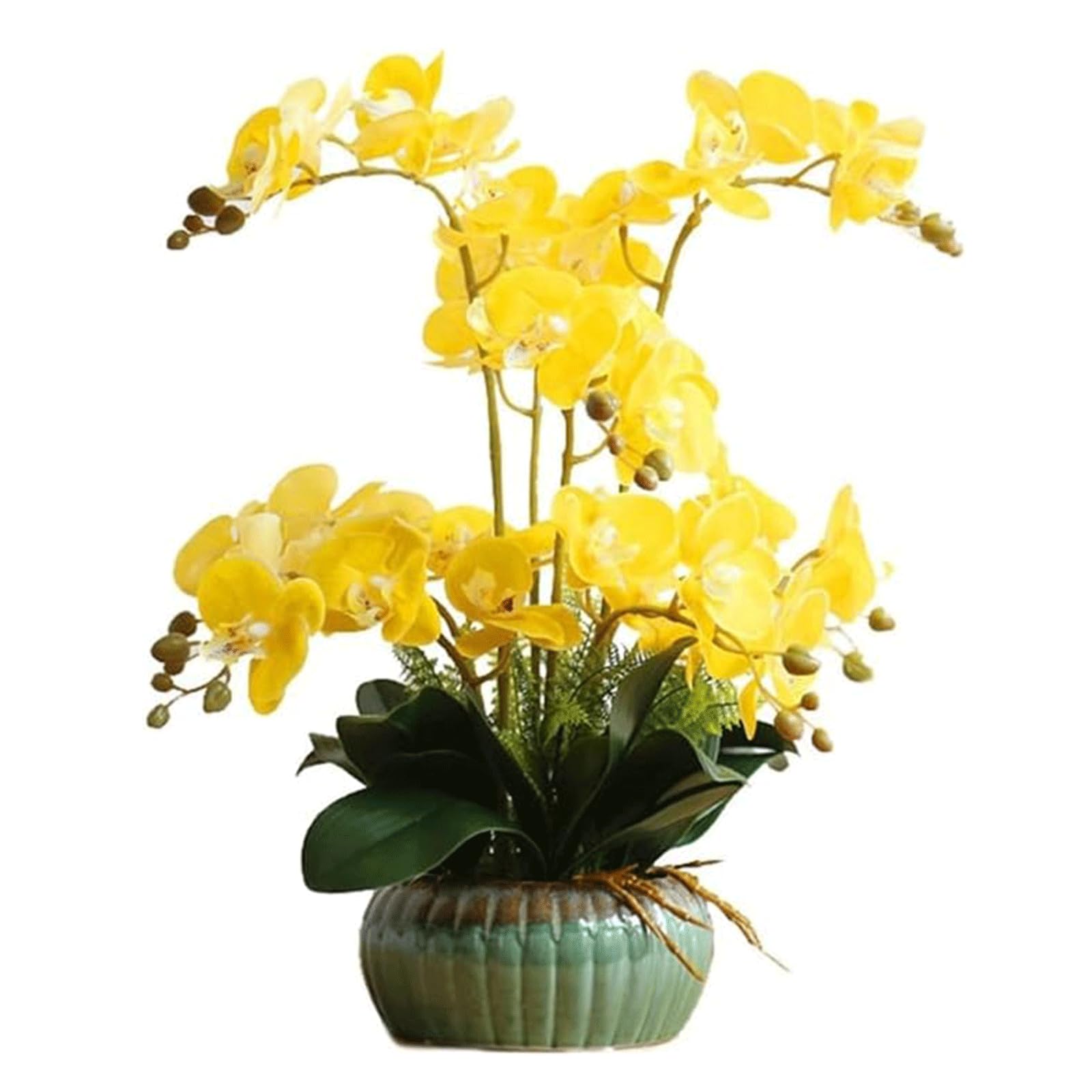 DFGHNBVC Artificial Orchid 23.6In Faux Orchids With Ceramic Flower Pots Artificial Flower Silk Home Artificial Phalaenopsis Flowers