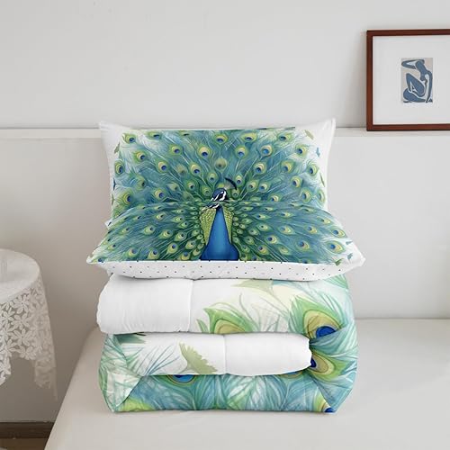 Miniatura 5 de Juego de edredón de pavo real, lindo relleno de edredón dibujado a mano para niños y adolescentes, juego de ropa de cama con estampado de plumas de