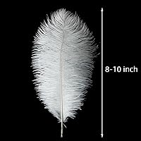 Vista 129 de 24 piezas de plumas de avestruz blanco natural de 10-12 pulgadas (25-30cm) para centros de mesa de bodas y fiestas, arreglos florales y decoración